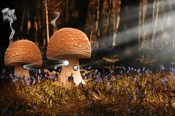 Fantasy image of toadstool houses in bluebell woods — Stock Photo, Image