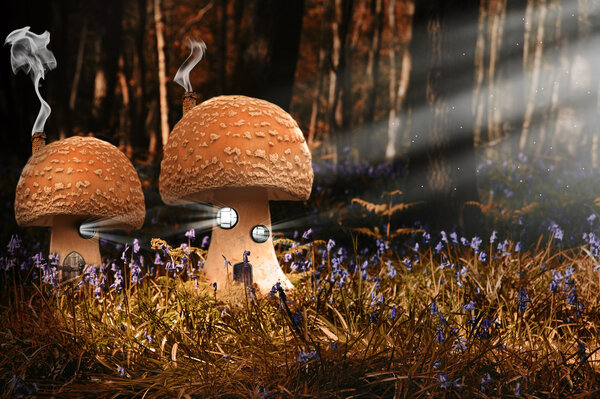 Fantasy image of toadstool houses in bluebell woods