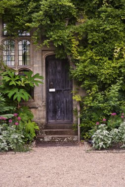 Wooden front door of old stone brick house covered in ivy and pl clipart