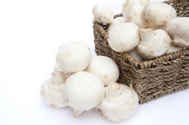 Fresh champignon mushrooms in rustic basket isolated on white clipart