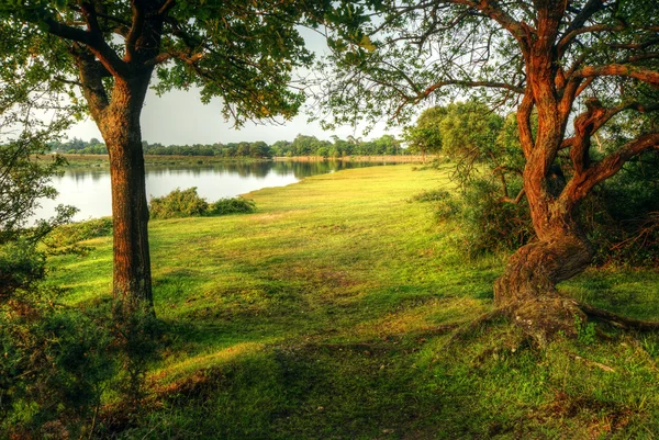 神奇幻想风格森林现场与日落期间湖 — 图库照片