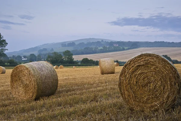 Прекрасный золотой час тюки сена заката пейзаж — стоковое фото
