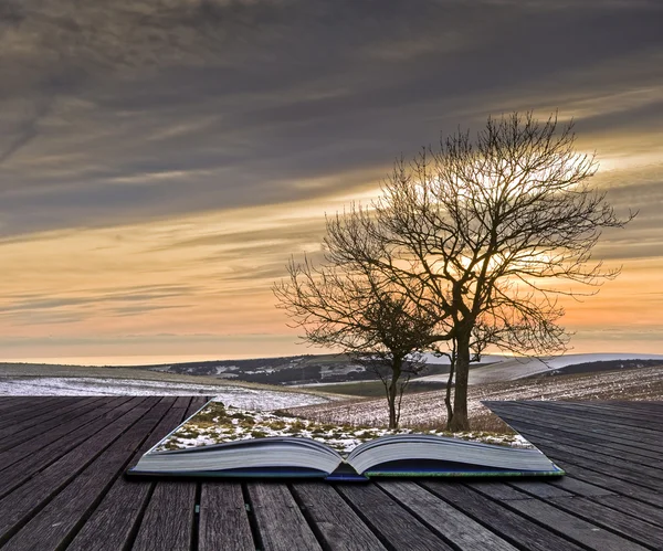 Concept créatif idée de paysage d'hiver sortir des pages en — Photo