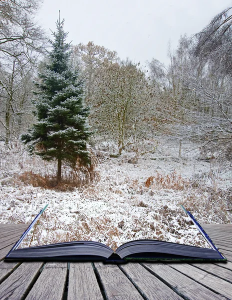 페이지에 나오는 겨울 풍경의 창조적인 개념 아이디어 — 스톡 사진
