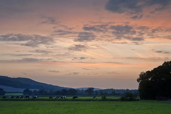 イギリスの田園風景日没の風景 — ストック写真