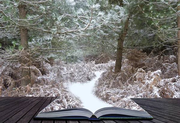 出来的页面在冬季景观的创意概念想法 — 图库照片