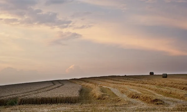 美丽的金黄小时干草捆日落景观 — 图库照片
