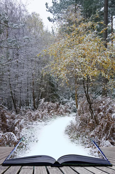 Ideia de conceito criativo de paisagem de inverno saindo de páginas em — Fotografia de Stock