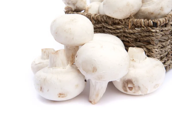Fresh champignon mushrooms in rustic basket isolated on white — Stock Photo, Image