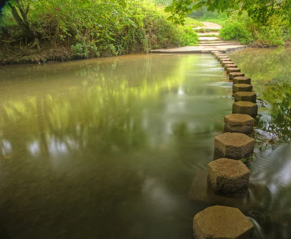 Прекрасная лесная сцена заколдованного ручья, текущего через пышные — стоковое фото