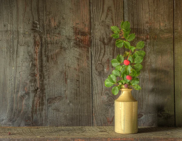 Retro stijl stilleven van gedroogde bloemen in vaas tegen gedragen woo — Stockfoto