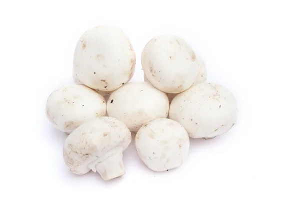 Champignon mushrooms isolated on white — Stock Photo, Image