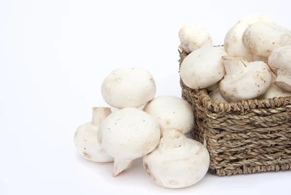 Fresh champignon mushrooms in rustic basket isolated on white — Stock Photo, Image