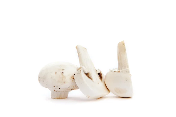 Champignon champignons geïsoleerd op wit — Stockfoto