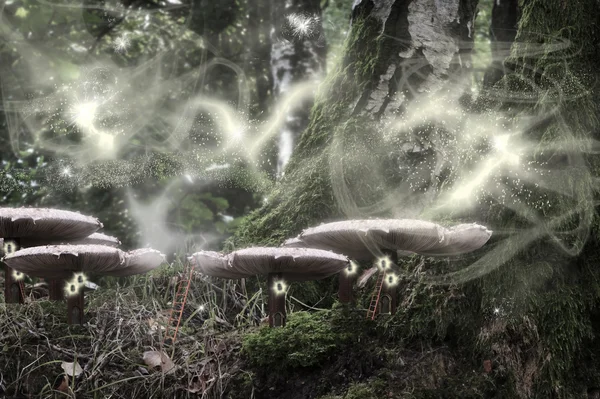 Notte nel bosco incantato fantasia di case di funghi e fai — Foto Stock