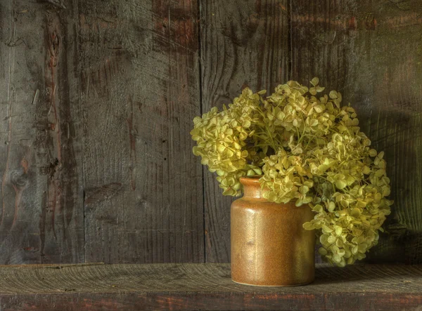Retro style still life of dried flowers in vase against worn woo Stock Photo