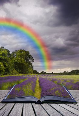 Creative concecpt image of lavender fields landscape coming out clipart