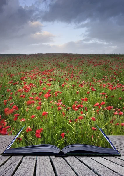 stock image Creative concept idea of poppy field landscape coming out of pag
