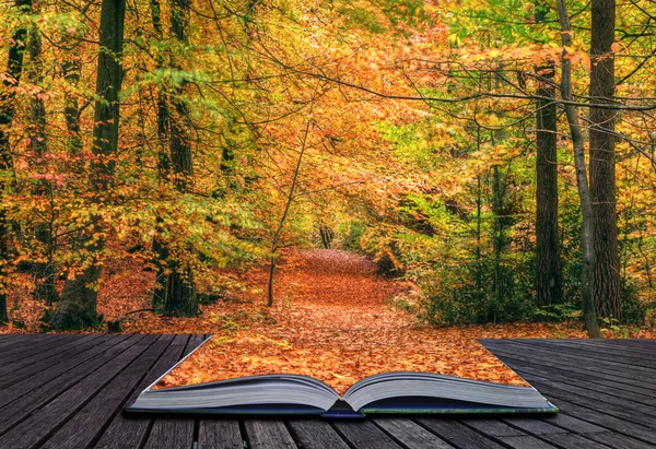 Creative concept idea of Beautiful Autumn Fall forest scene in p