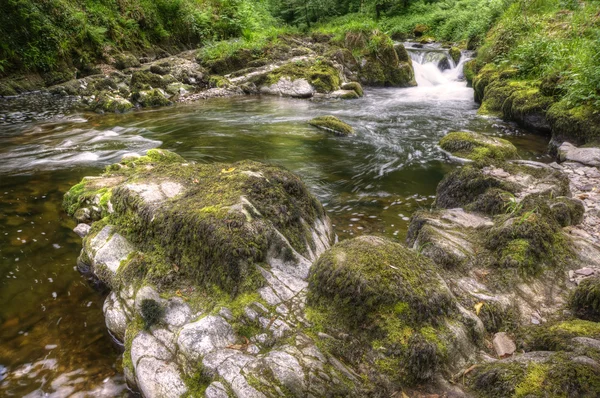 Impresionante cascada que fluye sobre rocas a través de exuberante bosque verde — Foto de Stock