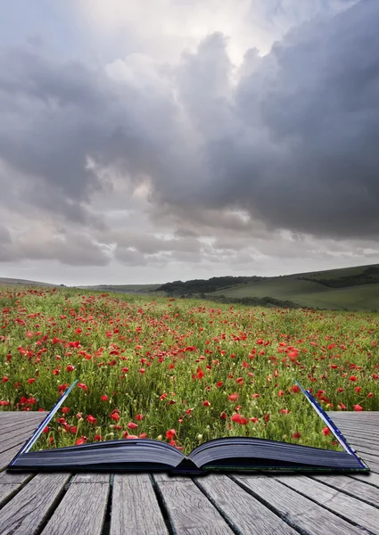Creative concept image of poppy field landscape coming out of pa — Stock Photo, Image