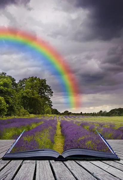 Creative concecpt image of lavender fields landscape coming out — Stock Photo, Image