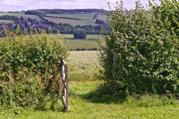 在通过木制门的英国乡村风景的罂粟场 — 图库照片