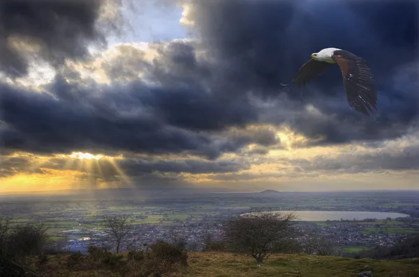 Águila pescadora africana en vuelo sobre un paisaje impresionante y tormentoso — Foto de Stock