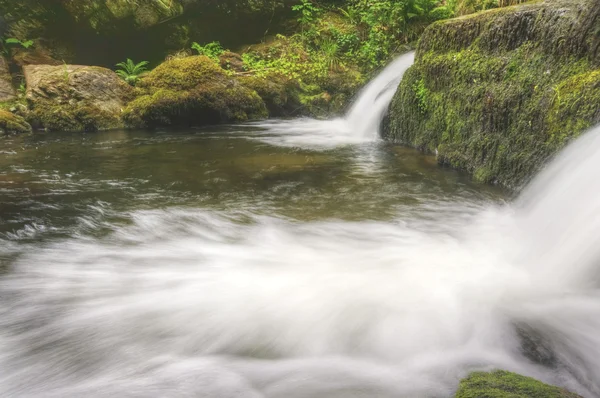 Lenyűgöző vízesés folyik át sziklák, buja zöld erdőben — Stock Fotó