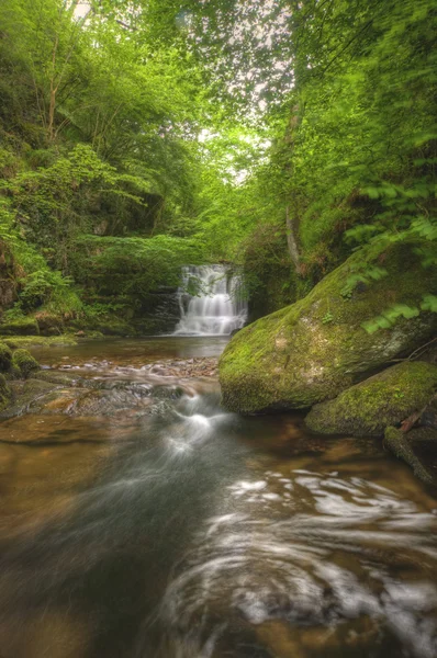 Prachtige waterval stroomt over rotsen door weelderig groen bos — Stockfoto