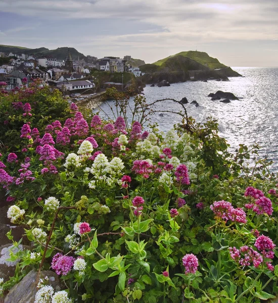 Vue de la ville balnéaire anglaise à travers des fleurs vives et lumineuses sur t — Photo