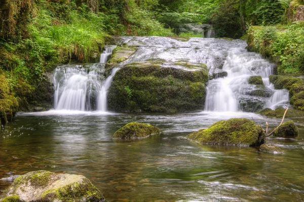 見事な滝の流れる緑豊かな緑の森の中の岩の上 — ストック写真