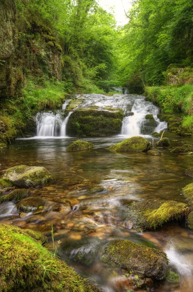 Atemberaubender Wasserfall fließt über Felsen durch sattgrünen Wald — Stockfoto
