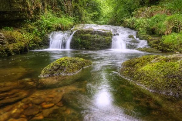 Nádherný vodopád teče přes kameny, přes svěží zelený Les — Stock fotografie