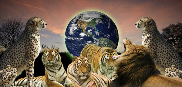 Творческий концептуальный образ диких кошек, защищающих планету Земля
