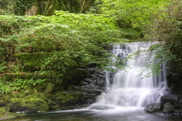 Приголомшливий водоспад тече по скелях через пишний зелений ліс — стокове фото