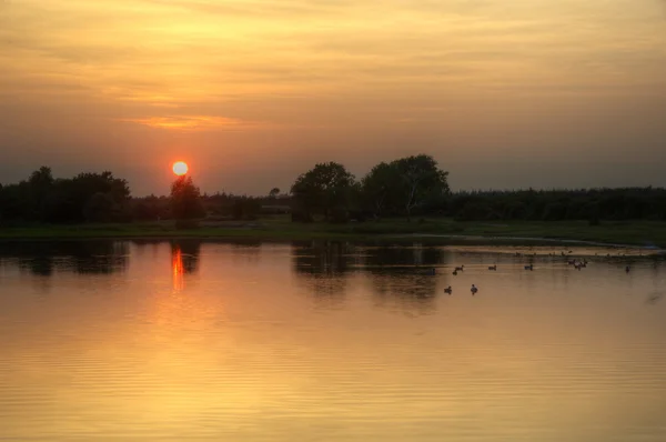 stock image Setting sun glows through trees and reflected in still lake