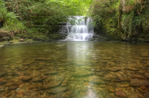 Потрясающий водопад, текущий по скалам через пышный зеленый лес — стоковое фото