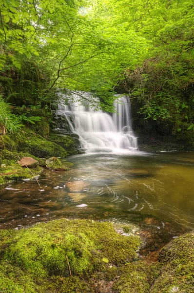 Impresionante cascada que fluye sobre rocas a través de exuberante bosque verde —  Fotos de Stock