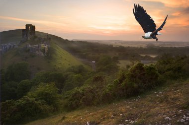 African fish eagle in flight over magical castle landscape clipart