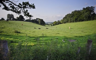 Beautiful image of typical English countryside landscape clipart