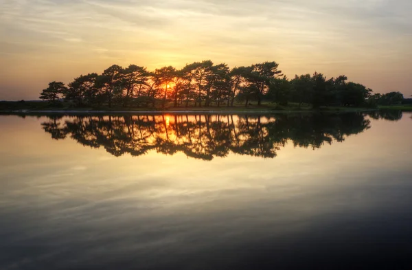 Setting sun glows through trees and reflected in lake — Stock Photo, Image