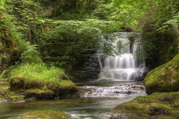 stock image Stunning waterfall flowing over rocks through lush green forest