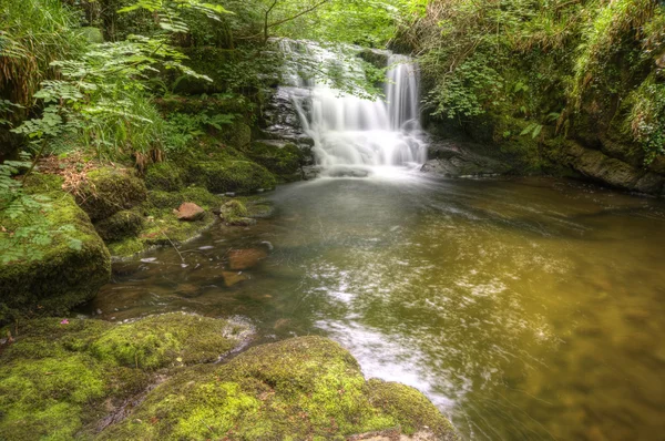 Impresionante cascada que fluye sobre rocas a través de exuberante bosque verde —  Fotos de Stock
