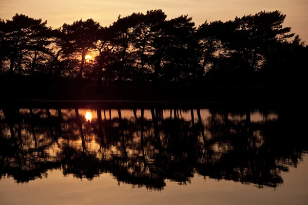 Setting sun glows through trees and reflected in still lake wate — Stock Photo, Image