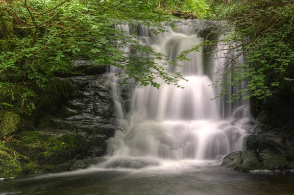 Splendida cascata che scorre sulle rocce attraverso una lussureggiante foresta verde — Foto Stock