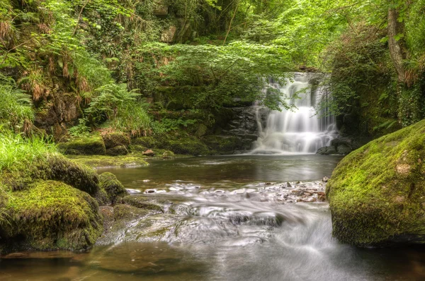 stock image Stunning waterfall flowing over rocks through lush green forest