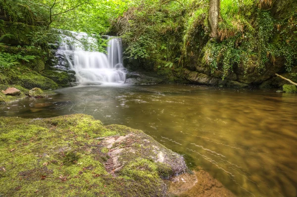 Atemberaubender Wasserfall fließt über Felsen durch sattgrünen Wald — Stockfoto