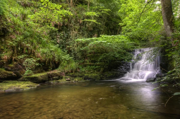Fantastiska vattenfall som flödar över stenar genom grönskande skogen — Stockfoto