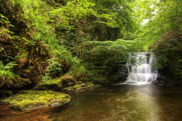 Nádherný vodopád teče přes kameny, přes svěží zelený Les — Stock fotografie